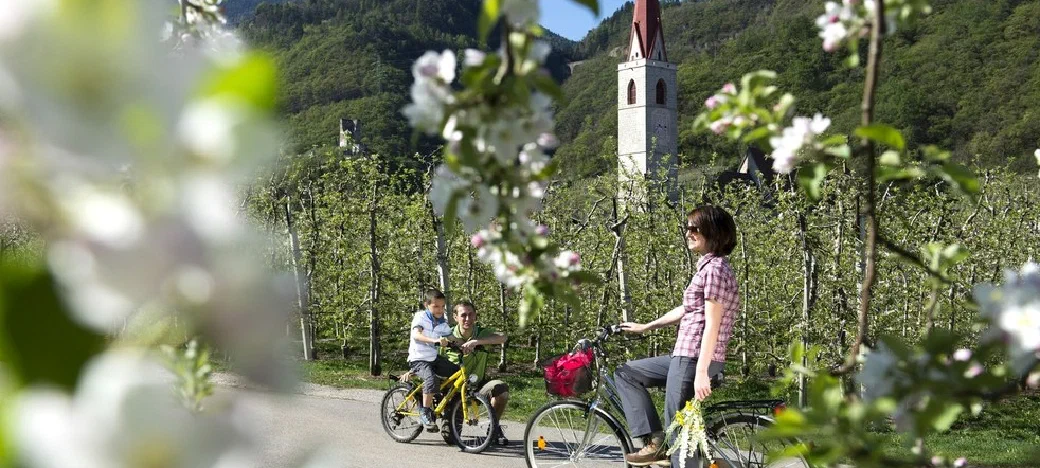 Andare in bici nel Meranese tra meleti e montagne