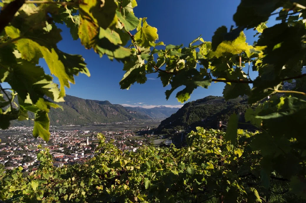 Vita del maso e agricoltura al Greiterhof