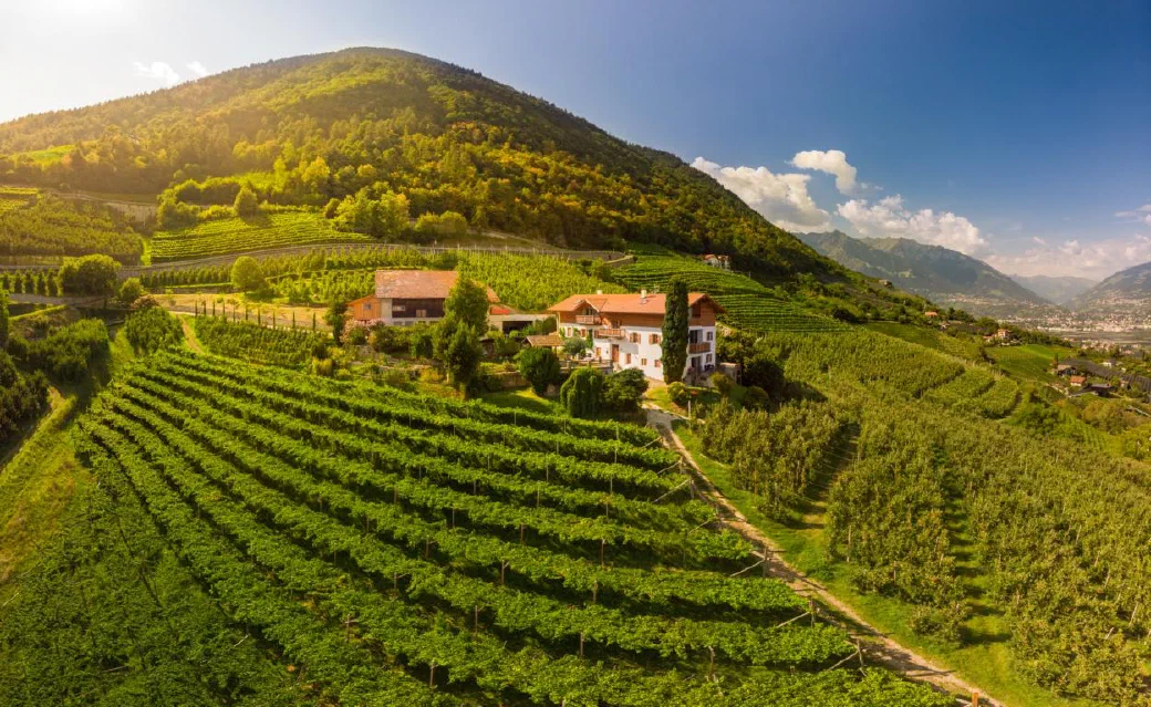 Greiterhof con frutteti e vigneti a Lana