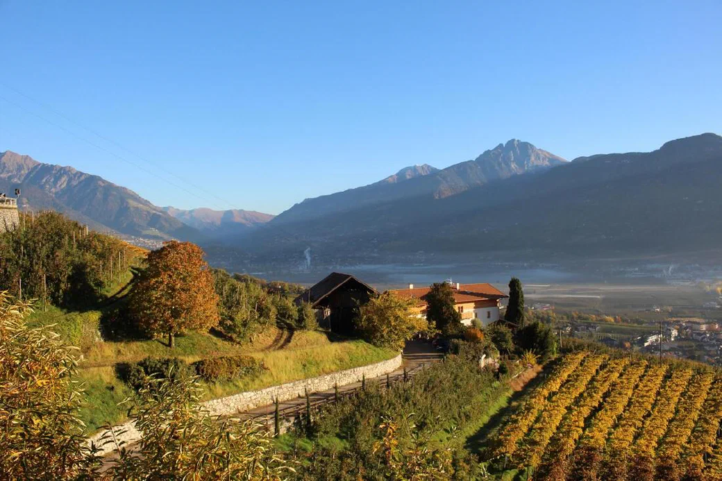 Vista panoramica dal Greiterhof su vigneti, Lana e la Val d'Adige